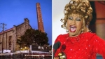 Foto de Censuran homenaje a Celia Cruz que se realizaría en La Habana