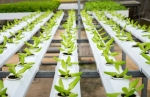 Foto de Integra: Experts in Sustainable Agriculture Transforming Modern Farming