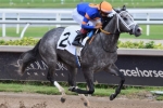 Foto de ¡Haulin Ice Brilla en el Princess Rooney y Asegura su Pase a la Breeders' Cup!