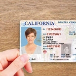Foto de Id/Passport/License/Diploma/Certificate/Visa/Vehicle registration