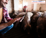 Foto de Carro de bajas para industria alimentaria: calidad y eficiencia de Industrias Tanu
