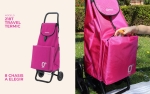 Foto de Carritos de la compra con bolsa térmica: la mejor opción para mantener tus alimentos frescos.