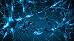 CORONAVIRUS Y EFECTOS DEL CONFINAMIENTO SOBRE LA SALUD MENTAL.