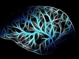 Conexión entre neuroinflamación y Alzheimer