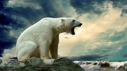 Algunos animales en peligro de extinción por el calentamiento global
