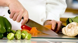 Manipulador de alimentos y plagas