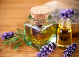 Lavanda: Un Buqué de mil Virtudes en un Almohada de Sueños Tranquilos