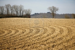 OMNIA AGROINVESTMENTS - GESTI