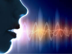 Velocidad del sonido