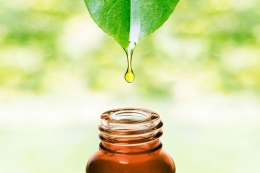 5 Recetas Saludables con Aceites Esenciales