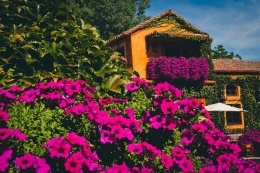 Finca bodas civiles Madrid Antigua Fábrica de Harinas