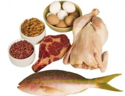 10 alimentos que contienen carbohidratos