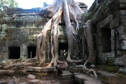 Angkor Wat, el mejor lugar turístico para Tripadvisor
