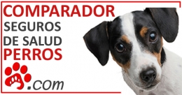 Los seguros veterinarios ahora más necesarios que nunca