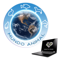 Humans Pro Animals Crowdfunding por el mundo animal
