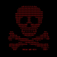 Cómo evitar que los virus cifren la información