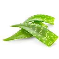 Trabaja con productos naturales de aloe