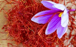 AZAFRAN, EL ORO ROJO QUE CUIDA DE TI