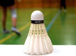 El Badminton en el salón de tu casa