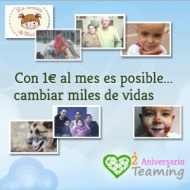 Más de 500.000 euros recaudados para ayuda social gracias a la solidaridad low-cost