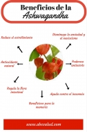 ¿Qué es la Ashwagandha y para que sirve? Conoce sus beneficios