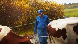El bienestar natural de Arla se basa en su compromiso con el entorno