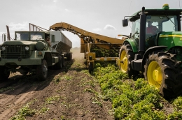 AGOOD FERTILIZERS, referente internacional en logística y transporte de productos químicos