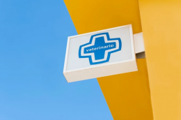 Clínica Veterinaria en Vecindario con Atención Profesional y Cercana