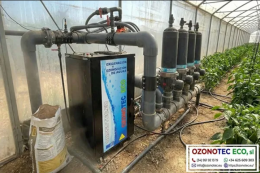 Ozonizar el agua: la alternativa eficiente y ecológica en agricultura