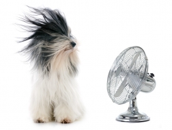 Prepárese para afrontar el calor del próximo verano