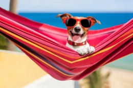 Seis consejos para refrescarse en los días calurosos
