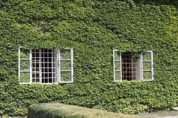Apuesta alto y crea un jardin vertical este 2018