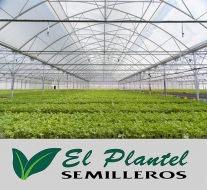 EL PLANTEL SEMILLEROS inaugura nueva delegación, dentro del marco de colaboración con CEDEC