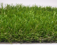 Pautas para que el diseño de tu jardín sea un éxito