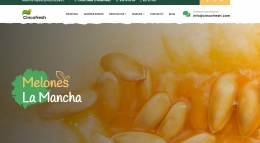 Melones La Mancha: Sabor y Frescura en Cada Bocado