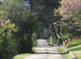 fotos de bodas en españa