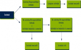 ¿Qué es el derecho de sociedades?