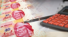 Crecimiento de la economía mexicana durante el Desarrollo Estabilizador 