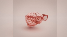 El cerebro: Ese bromista que disfruta reír