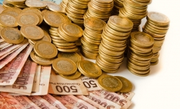 Respaldo economico