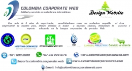 La importancia de las páginas web para las empresas