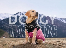 Juguetes para perros: clave para la diversión y el bienestar de tu mascota