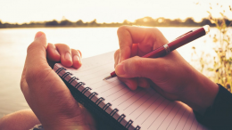 Essay Essentials that You Should Know About