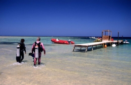 Paraísos bajo las aguas del Mar Rojo