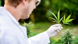 Epic presenta un seguro de responsabilidad civil por contaminación para la industria del cannabis