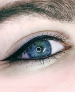 The Lucrative World of Microblading