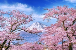 La nueva jugada de Japón con su criptomoneda anclada al oro