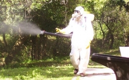 Empresas efectivas de fumigación en Uruguay