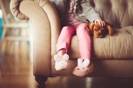 Beneficios  de tener una mascota. 