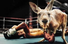 Consejos para iniciarse en el boxeo